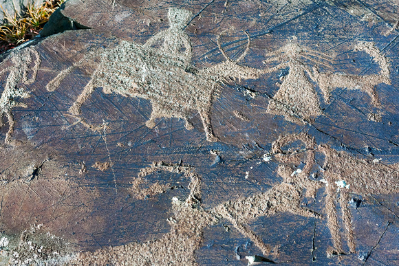 Petroglyphs in Altai, Mongolia