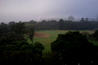 Sydney fog Domain