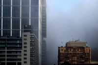 Sydney fog Macquarie St