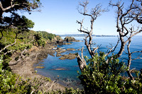 Walk from Matapouri to Whale Bay