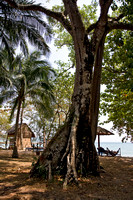 Bamboo Cottages, Vung Bau Bay