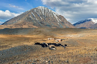 Mongolia - Altai to Tsengel to Ulgii