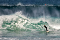 Bondi surfers