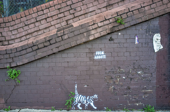 The Stripey Street cat in Sydenham