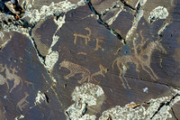 Petroglyphs in Altai, Mongolia