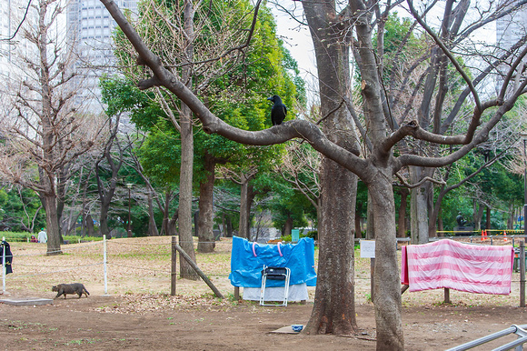 Shinjuku Park