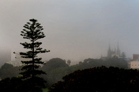Sydney fog St Marys Cathedral
