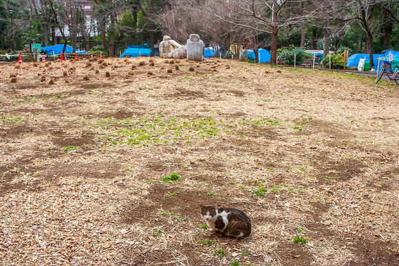 Shinjuku Park