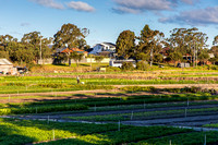 Kyeemagh heritage listed market gardens