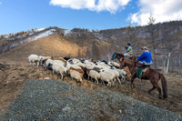 Terelj, Mongolia