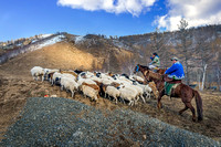 Mongolia, Terelj, Ulaanbaatar, gers