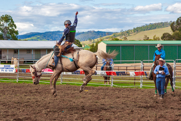 Dungog rodeo