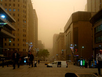 Dust at Martin Place