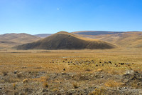 Mongolia - views from the Trans Mongolian express